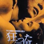 技巧的サスペンス映画　「狂った果実」